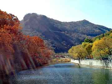 正新澳门二四六天天彩，淋浴器喷头